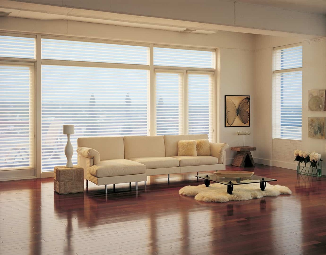 Hunter Douglas Silhouette® Window Shadings, sheer shadings, sheers and shades, Window Treatments near Vista, California (CA)
